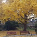 충렬사화장실 이미지