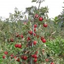 소소산방 이미지