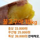 해남꿀고구마10kg/무선별/25,000원에판매합니다. 이미지