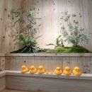 스테이모리 이미지