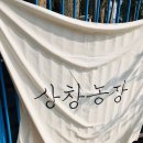 상창농장 이미지