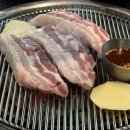 제주탐몽 이미지