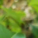 와동내과의원 이미지