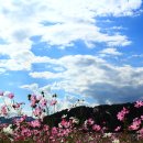 상미농장 이미지