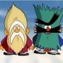 독한마캣 이미지