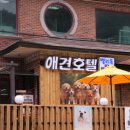 카페벨리