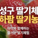 상석농장 이미지