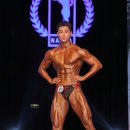 다비드짐휘트니스 이미지