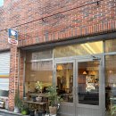 양말코히 이미지