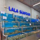 라라호텔 | 나트랑 라라씨푸드 솔직후기 씨에스타호텔 근처 해산물 맛집