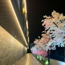 도마르 | 여수 커플 여행 일본감성 숙소 도마르호텔 투숙 후기