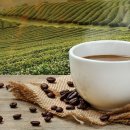 신나는머리나라 이미지