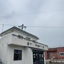 제주 수제버거 맛집 양가형제 양버거 새우버거 어니언링 후기