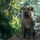 아서의집 이미지