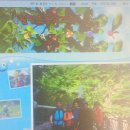 월령초등학교 이미지