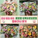상록수 - 당진시 석문면 | 안산 꽃집 추천 로망꽃 상록수본오본점 꽃바구니 후기