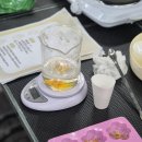 종로애견미용 이미지