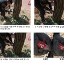 원앤원 플러스