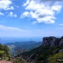 산장목장 이미지