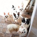 글로리아 하우스 이미지