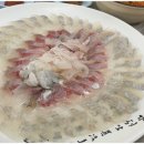 동해안회센타 이미지