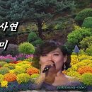 두견새 우는 사연/주현미(이미자) 이미지