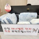 연향동물병원 이미지