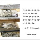 배추머리 - 중랑구 | 배추머리