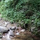 곰 펜션 이미지