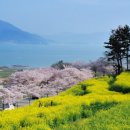 뚱땡이네 이미지