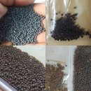 애자농장2 | 2019 원예기능사 실기 부산 시험 후기.