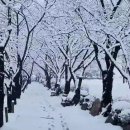 문득 그집 이미지