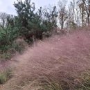 미르의 언덕 이미지