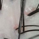 한나헤어 - 목포시 백년대로337번길 11 | 한나헤어