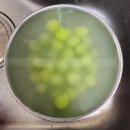 금화농원 | 일상 포토덤프, 맛있는 음식 사진