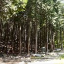 성주산자연휴양림 이미지