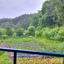 토지농장 이미지