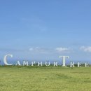 미풍해장국광령점 | 제주도 캠퍼트리 리조트 독채숙소 패밀리스위트 사용 후기!
