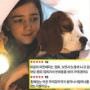 안녕, 댕댕이 이미지