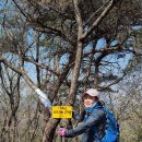 2023/4/2일요일2차2구간 17km 옥정재~서운산~엽돈재 이미지