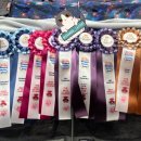 그랜비캐터리 이미지