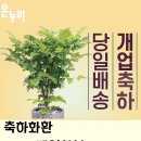 온누리021