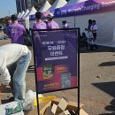 초은초등학교 거울공원 남측 | 2024 JTBC 서울마라톤 10K 후기 | 레이스팩 코스 기념품