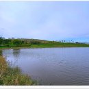 배곧생명공원 이미지