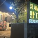 서울청계숲유치원 | 서울 양대창 맛집 순위권 인정｜ 숯불향 가득 청계숲양대창 청계산본점 후기