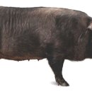 참진축산 이미지