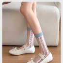 스프링플라워 이미지