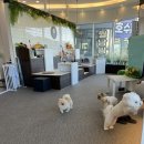 메종드 로이 이미지