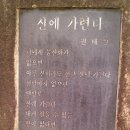 손*규 Daum카페