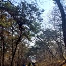 운산2리마을회관 | 동서트레일 6구간 율목리마을 ~ 삼웅2리 마을회관